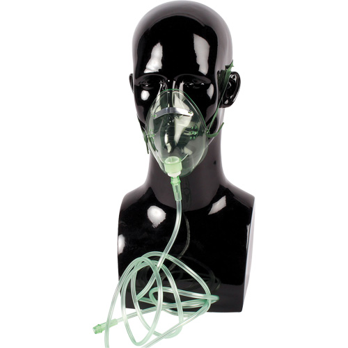 Masque &agrave; oxyg&egrave;ne Dynamic Seaboard Timber Mart