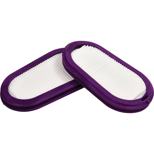 Replacement Filters, Particulate Filter, P100 Filter Seaboard Timber Mart