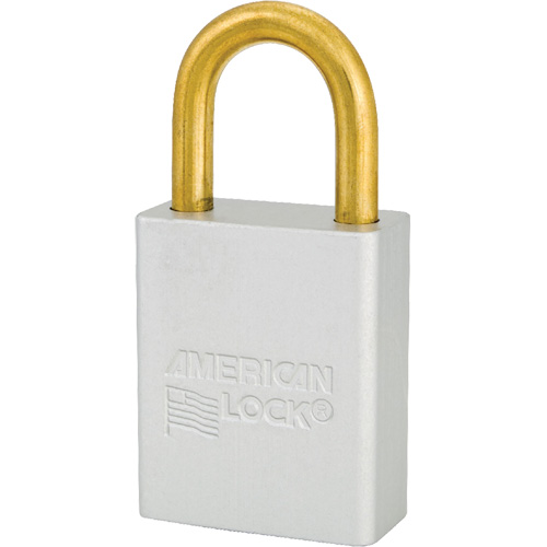 Cadenas de s&eacute;curit&eacute; American Lock, Transparent, Cl&eacute;s identiques, Aluminium, Largeur de 1-1/2" Seaboard Timber Mart