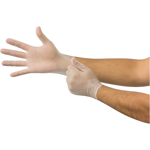 MicroFlex&reg; Disposable Gloves, Small, Vinyl, 2.8-mil, Powder-Free, Clear Seaboard Timber Mart