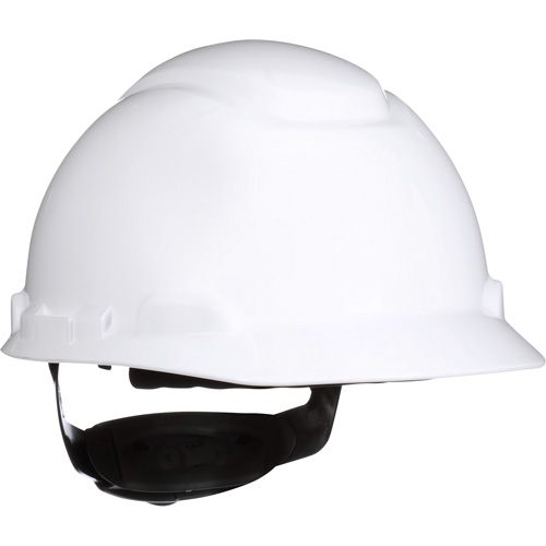 SecureFitH-700 Hardhat, Meets CSA Type 1, Ratchet Suspension, Non-Vented Seaboard Timber Mart