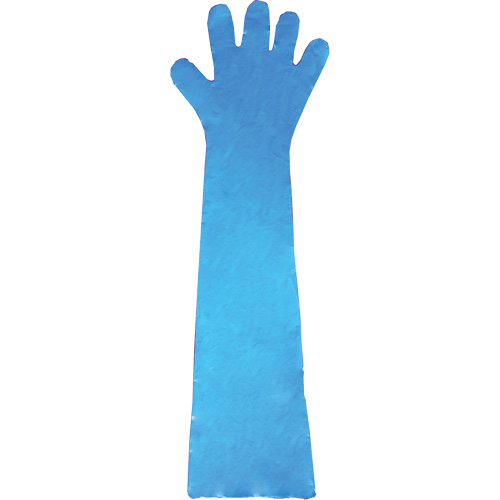 Disposable Gloves, Polyethylene, Powder-Free, Blue Seaboard Timber Mart