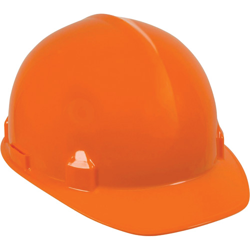 Casque de s&eacute;curit&eacute; SC-6, R&eacute;pond aux normes CSA type 1, Suspension Rochet, Non ventil&eacute; Seaboard Timber Mart