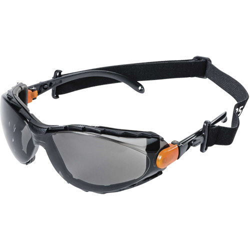 XPS502 Sealed Safety Glasses, Smoke Lens, Anti-Fog/Anti-Scratch Seaboard Timber Mart