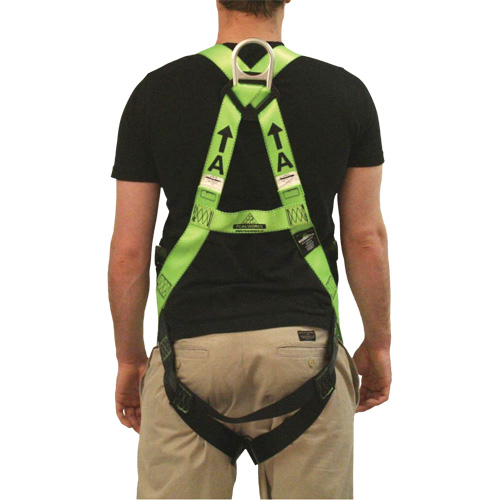 FBH-10000L Contractor Series Safety Harness, CSA Certified, Class AL, 400 lbs. Cap. Seaboard Timber Mart