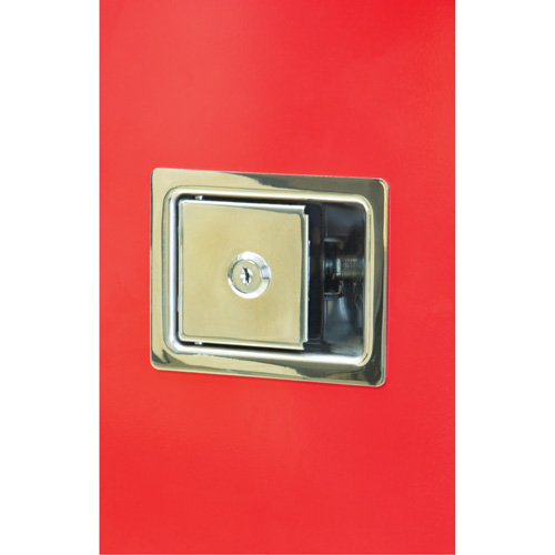 Armoires ext&eacute;rieures robustes pour extincteurs, 14" la x 28" h x 10" p Seaboard Timber Mart