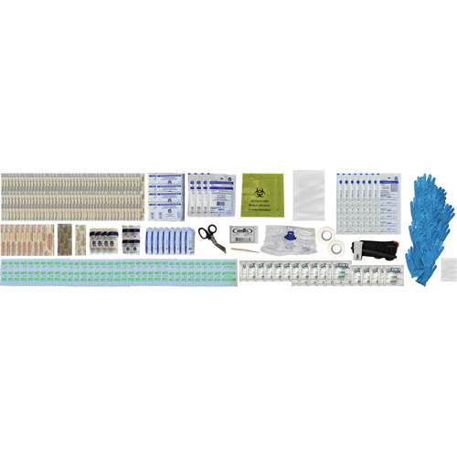 Shield First Aid Kit, Meets/Exceeds CSA Z1220-24 Type 2 Low-Risk Environment, Large (51-100 Workers) Seaboard Timber Mart