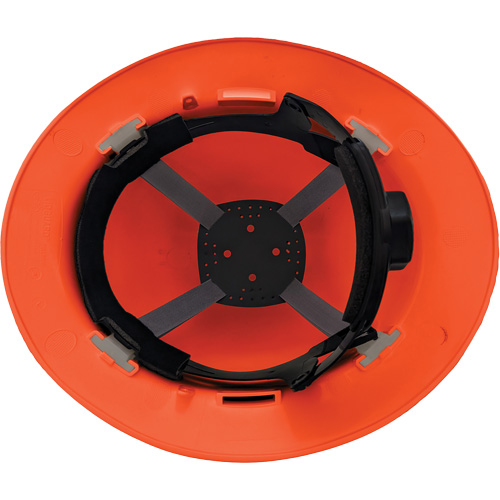 Suspension &agrave; quatre points LIDGUARD pour casquette & casque &agrave; bordure compl&egrave;te, Rochet Seaboard Timber Mart