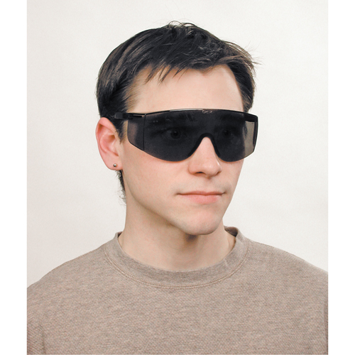 Tacoma&reg; Safety Glasses, Grey/Smoke Lens, Anti-Scratch, ANSI Z87+ Seaboard Timber Mart