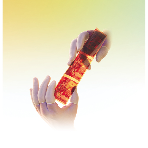 QRP&reg; Powder-Free Qualatex Latex Finger Cots Seaboard Timber Mart