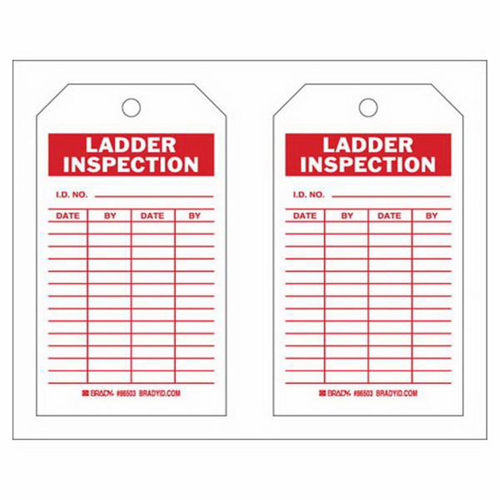 &eacute;tiquettes de rapport d'inspection, Polyester, 4" la x 7" h, Anglais Seaboard Timber Mart