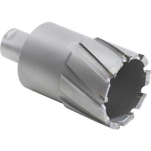 Couteau annulaire avec coupe &agrave; &acirc;me, Diam&egrave;tre de 1/2", Carbure, Profondeur de la coupe de 2", Tige 3/4" Seaboard Timber Mart