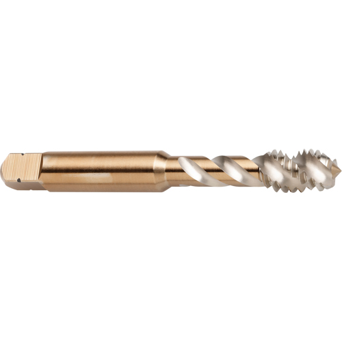 45° Spiral Flute Tap, High Speed Cobalt, 1/4"-28 Thread, 2-1/2" L Seaboard Timber Mart