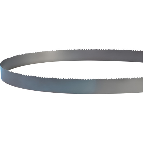 Lame soud&eacute;e pour scie &agrave; ruban, Bim&eacute;tal, 14' lo x 1" la x 4 - 6 dents par pouce Seaboard Timber Mart
