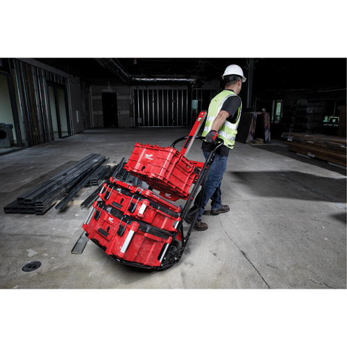 Chariot &agrave; deux roues Packout Seaboard Timber Mart