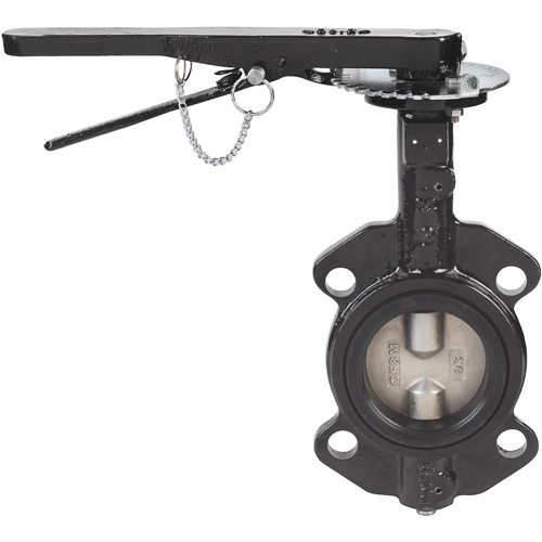 Butterfly Valves - Series BFV, 5" Pipe, 225 PSI Seaboard Timber Mart