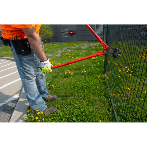 Coupe-Boulons, 14" l, Coupe centrale Seaboard Timber Mart