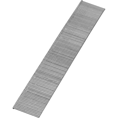 Clous &agrave; t&ecirc;te perdue Seaboard Timber Mart