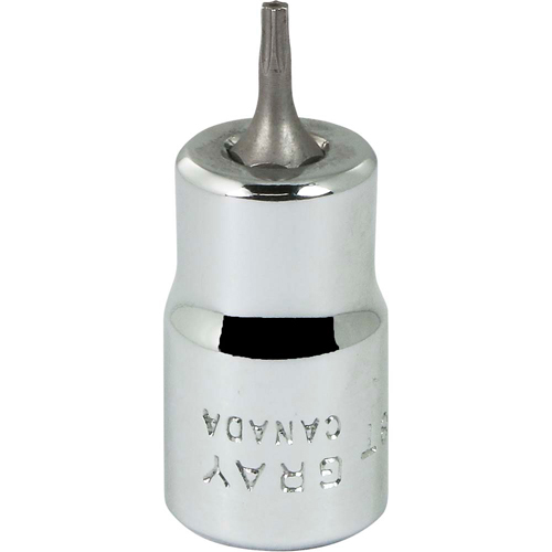 Bit Socket, Torx&reg;, T8 x 2-1/8" L, 3/8" Drive Seaboard Timber Mart