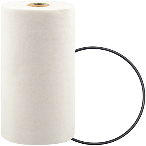 P7247 Filtre pour liquide de refroidissement &agrave; visser avec additif BTE Seaboard Timber Mart