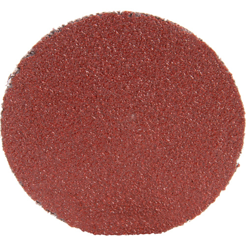 Disque 361F Roloc, 1-1/2" dia., Grain P100, Oxyde d'aluminium Seaboard Timber Mart