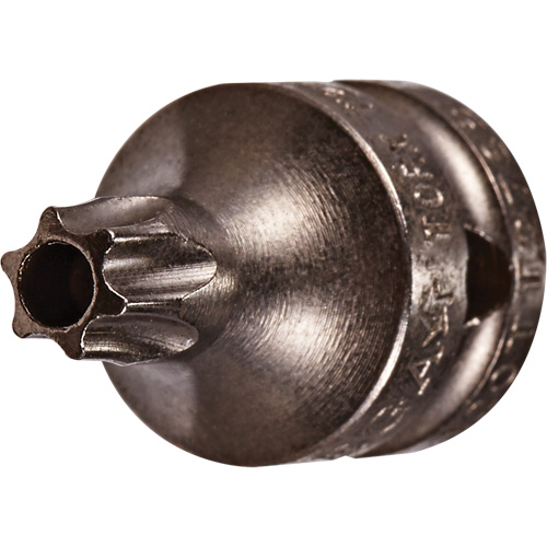 Embout &agrave; ins&eacute;rer, Torx inviolable, 8 x 3/4" lo, Prise 1/4" Seaboard Timber Mart
