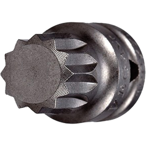 Embout &agrave; ins&eacute;rer, Triple carr&eacute;, 5 x 3/4" lo, Prise 1/4" Seaboard Timber Mart