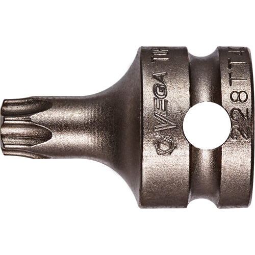 Embout &agrave; ins&eacute;rer, Torx inviolable, 25 x 1" lo, Prise 3/8" Seaboard Timber Mart