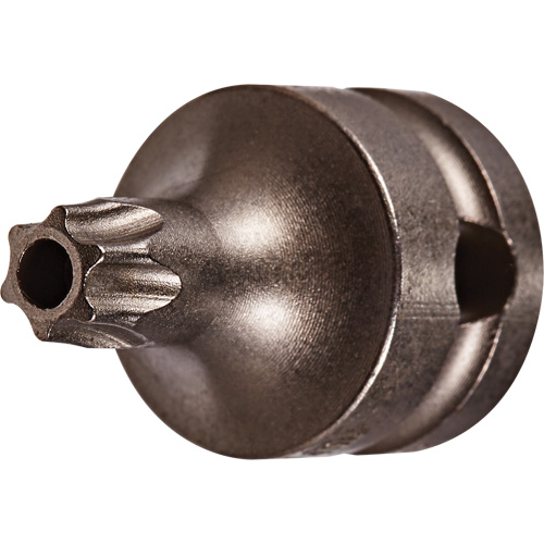 Embout &agrave; ins&eacute;rer, Torx inviolable, 25 x 1" lo, Prise 3/8" Seaboard Timber Mart