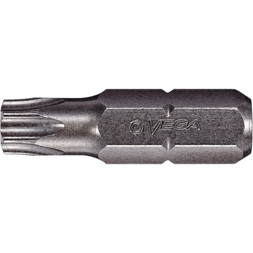 Tamper Insert Bit Seaboard Timber Mart