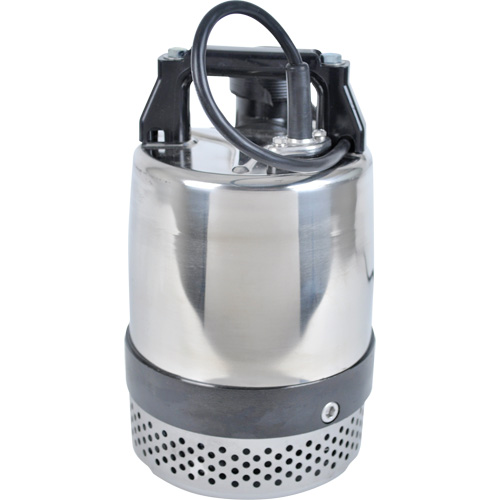 Pompe utilitaire s&eacute;rie FLS/FS, 1 CV, 80 gal./min, 115 V, 10 A Seaboard Timber Mart