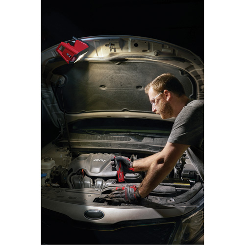 Projecteur d'illumination montable M12 ROVER, DEL, 250 W, 1000 lumens Seaboard Timber Mart