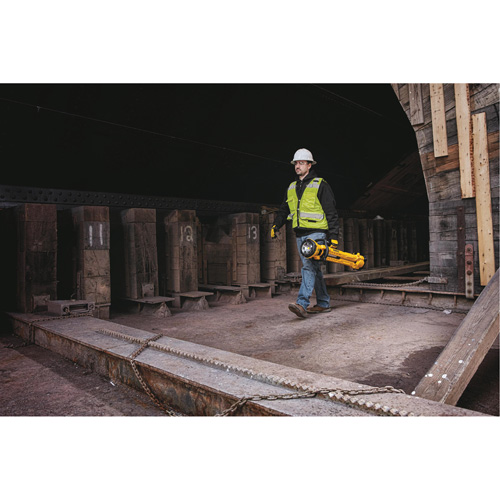 20V Max Cordless Tripod Light, LED, 3000 Lumens, Plastic Housing Seaboard Timber Mart