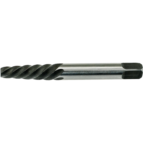Extracteur de vis Drillco, 2, Pour vis de 1/4" - 5/16", Carbure Seaboard Timber Mart