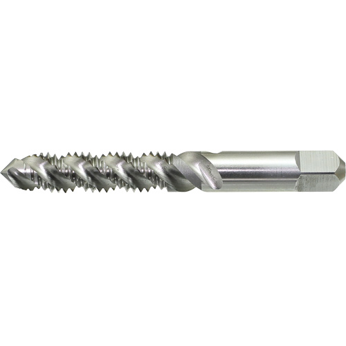 Drillco&reg; Spiral Flute Hand Tap, High Speed Steel, 1/4"-20 Thread Seaboard Timber Mart