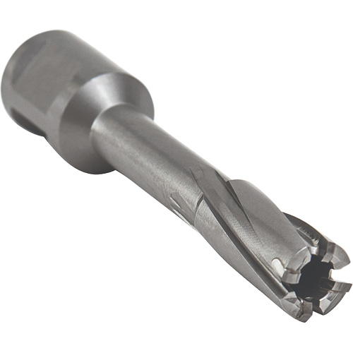 Core Cut Annular Cutter with Weldon Shank, 12 mm Diameter, Carbide, 55 mm Depth of Cut, 3/4" Shank Seaboard Timber Mart