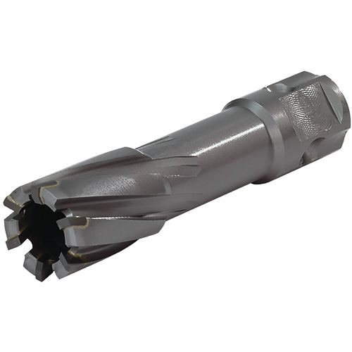 Universal Shank Annular Cutter, 1/2" Diameter, Carbide, 2" Depth of Cut, 3/4" Shank Seaboard Timber Mart