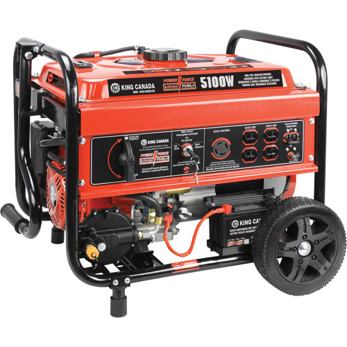 Gasoline/Propane Generator with Electric Start Seaboard Timber Mart