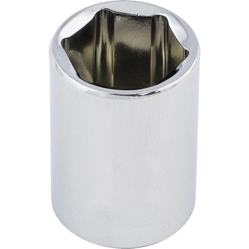 Regular Chrome Socket, 1/2", 3/8" Drive, 6 Points Seaboard Timber Mart