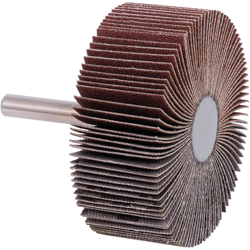 Disques &agrave; lamelles, Grain 40, 2-1/2" x 1" Seaboard Timber Mart