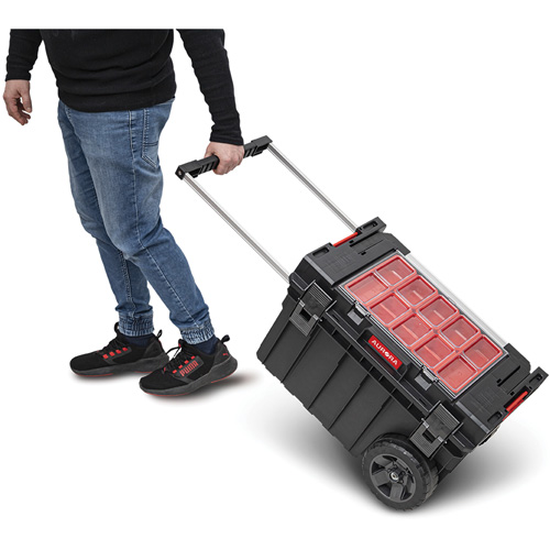 Coffre &agrave; outils roulant Arx, 23-4/5" x 16" x 15-3/5", Noir Seaboard Timber Mart