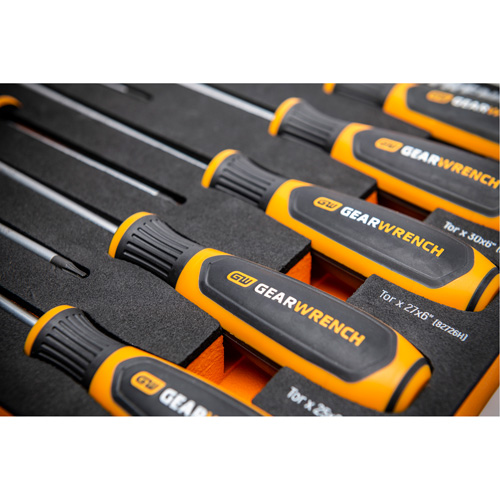 Jeu de tournevis bimat&eacute;riau Torx dans un plateau de rangement en mousse, 10 mcx Seaboard Timber Mart