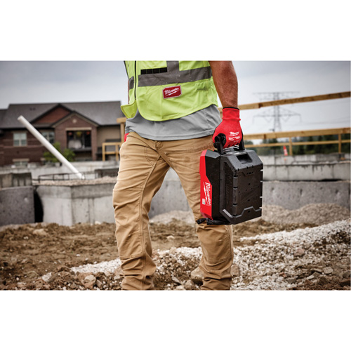 MX FUEL Rapid Charger, 120 V, Lithium-Ion/NiCd/Ni-MH Seaboard Timber Mart