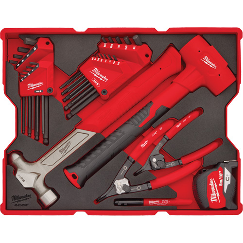 Hex Key & Hammer Set with Tray for PACKOUT Drawers Seaboard Timber Mart