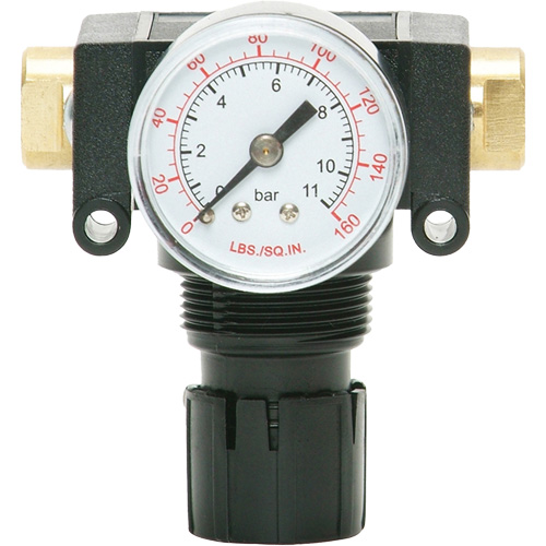 MODULAIR 200 Acetal Piston Regulator, 1/4" NPT, 150 PSI Max. PSI, In Line/Modular Seaboard Timber Mart