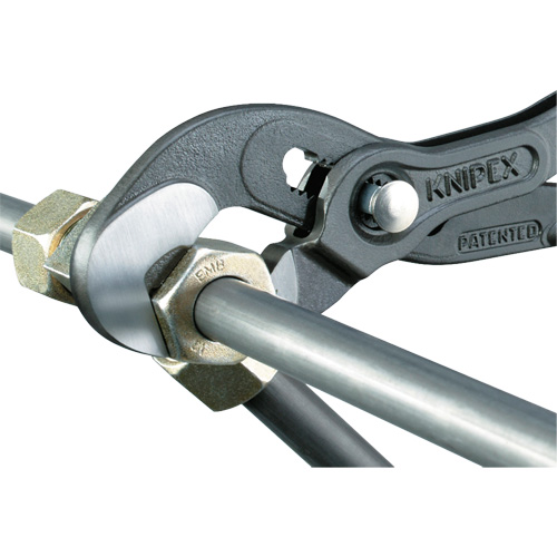 Raptor Pliers, 10" Seaboard Timber Mart