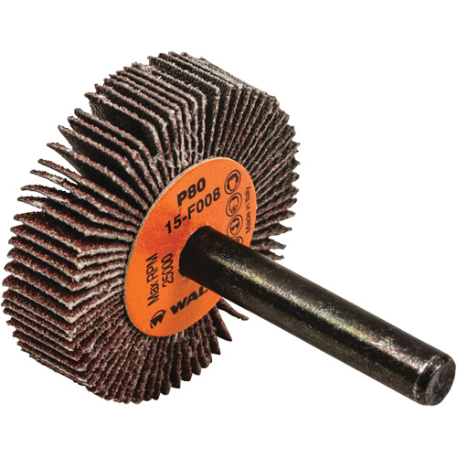 Disques &agrave; lamelles - Meules &agrave; lamelles Coolcut, Oxyde d'aluminium, Grain 80, 1-1/2" x 3/8" x 1/4" Seaboard Timber Mart