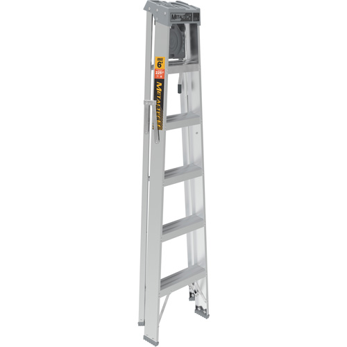 Step Ladder with Paint Tray, 6', Aluminum, 225 lbs. Capacity, Type 2 Seaboard Timber Mart