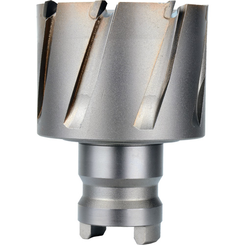 Quick Change Tang Drive Hawg&reg; Cutter, 2" Diameter, Steel, 1" Depth of Cut Seaboard Timber Mart