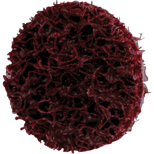 Disque de conditionnement de surface &agrave; remplacement rapide Standard Abrasives, 3/4" dia., Grain Moyen, Oxyde d'aluminium Seaboard Timber Mart